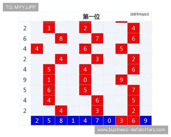 分析11选5最新开奖数据，探索趋势与投注技巧，提高中奖概率