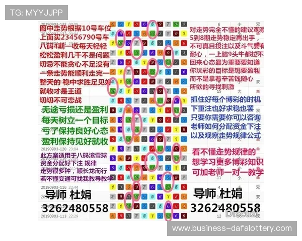 幸运飞艇投注技巧与数据分析全面指南揭秘未来走势规律
