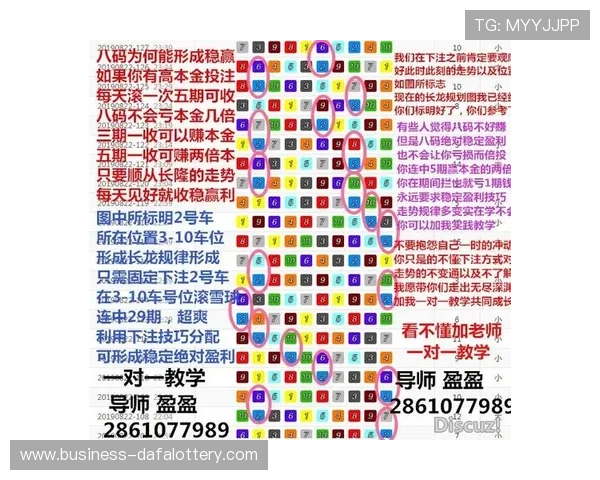 极速飞艇号码走势规律深度解析与精准计划技巧全面指南 极速飞艇号码走势规律深度解析与精准计划技巧全面指南